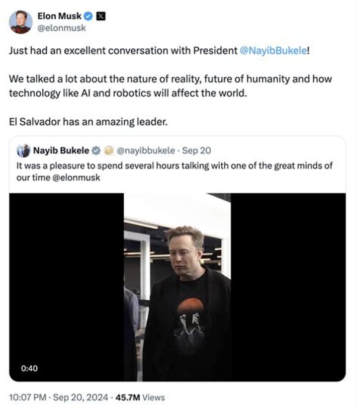 Elon Musk, Maye Musk, Fake News, Sky Ferreira, Met Gala