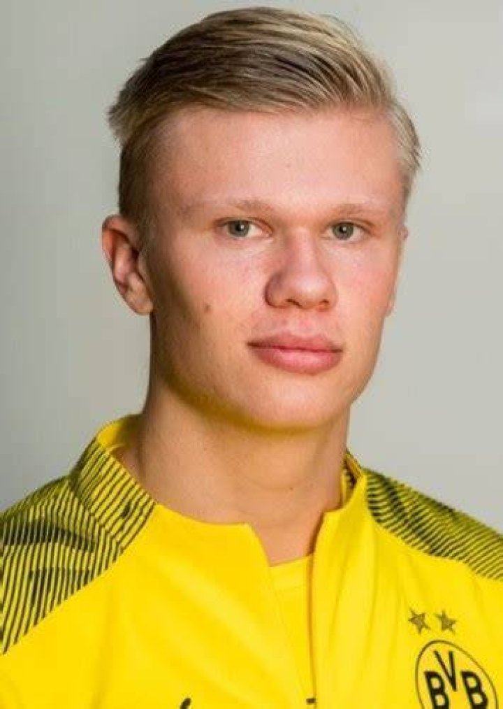 Erling Haaland Fan Casting