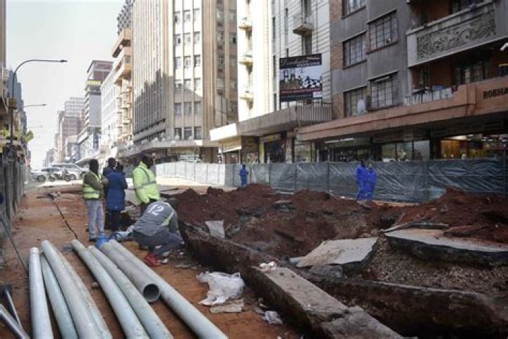 Escaped Tiger Sheba Back on the Johannesburg Streets After Brief Visit Home Inspiring #GoSheba Online