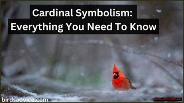 Exploring Cardinal Symbolism: Meaning And Significance