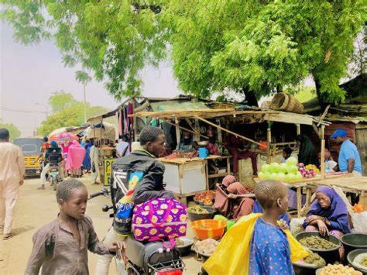 Exploring Naij Hausa: Culture, Language, And Community