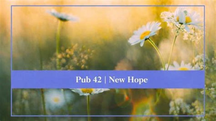 Exploring The Charm And Community Of Pub 42 New Hope