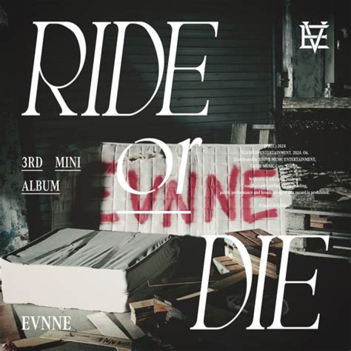 Exploring The Depths Of Evnne's 