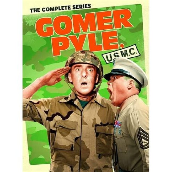Exploring The Legacy Of Gomer Pyle: Was He Gay?