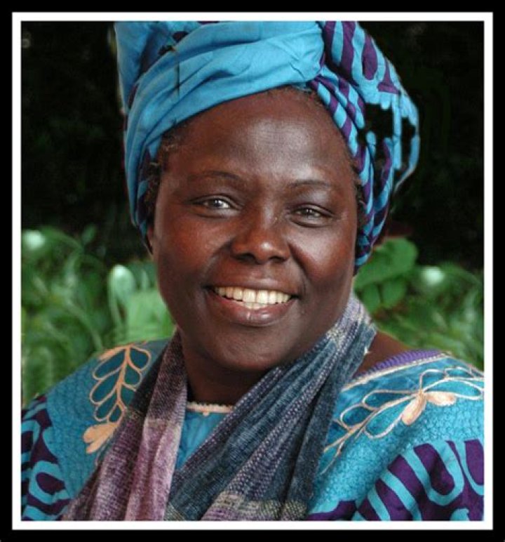 Exploring The Life And Achievements Of Janet Gayle