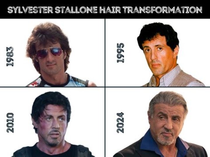 Exploring The Life And Career Of Sylvester Stallone