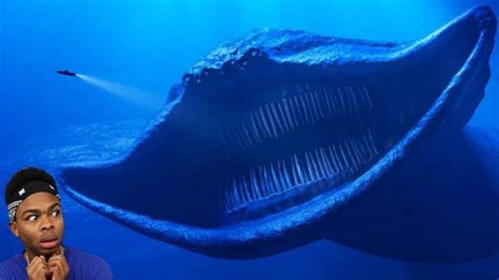 Exploring The Scariest Stuff: A Deep Dive Into The Terrifying And Unexplained
