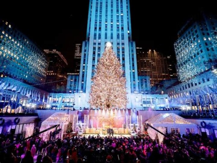 Exploring The World Of елка Бренд: The Iconic Christmas Tree Brand