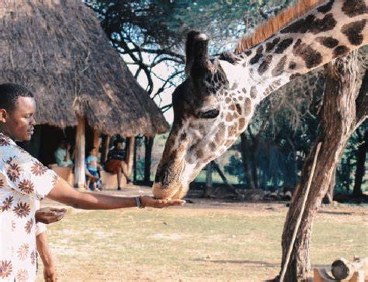 Facts about Mzansi Facts about Mzansi