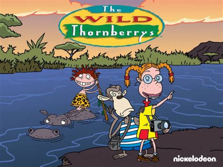 Fan Casting Flea as Donnie Thornberry in The Wild Thornberrys on myCast