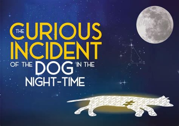 Fan Casting Ingrid Michaelson as Siobhan in The Curious Incident of the Dog in the Night-Time on myCast