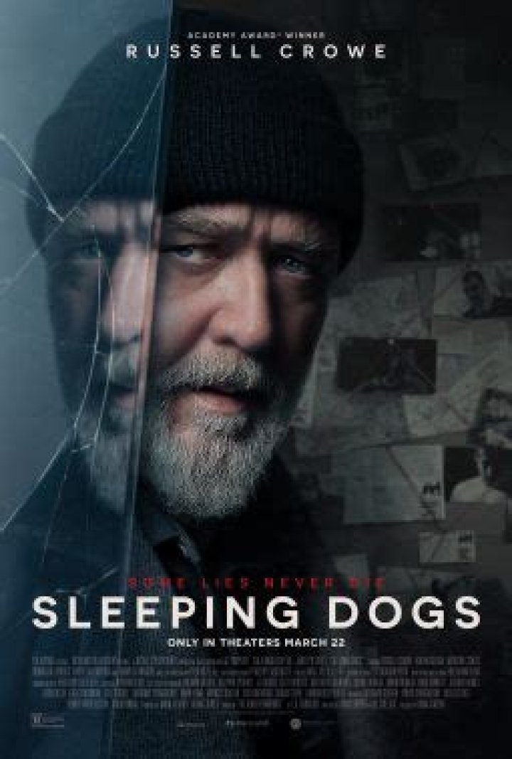 Fan Casting Li Jingwen as Not Ping in Sleeping Dogs (2022) on myCast