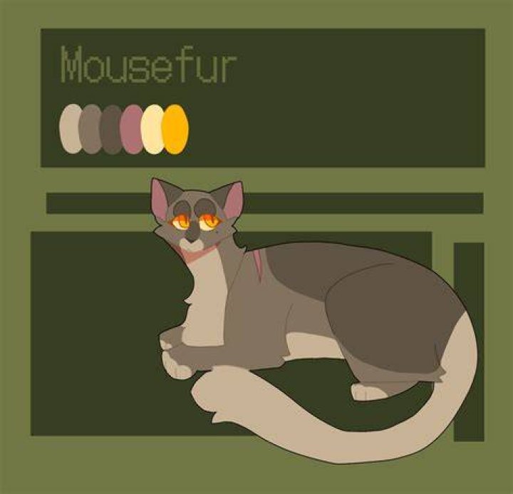 Fan Casting Mousefur (Warrior Cats) as Aro in CANON Queer Characters on myCast