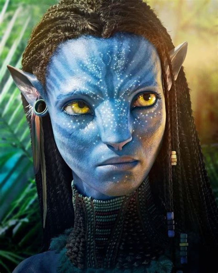 Fan Casting Neytiri as The Chief's Daughter in Sort by Tropes on myCast