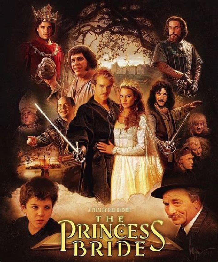 Fan Casting Nick Kroll as Vizzini in The Princess Bride on myCast