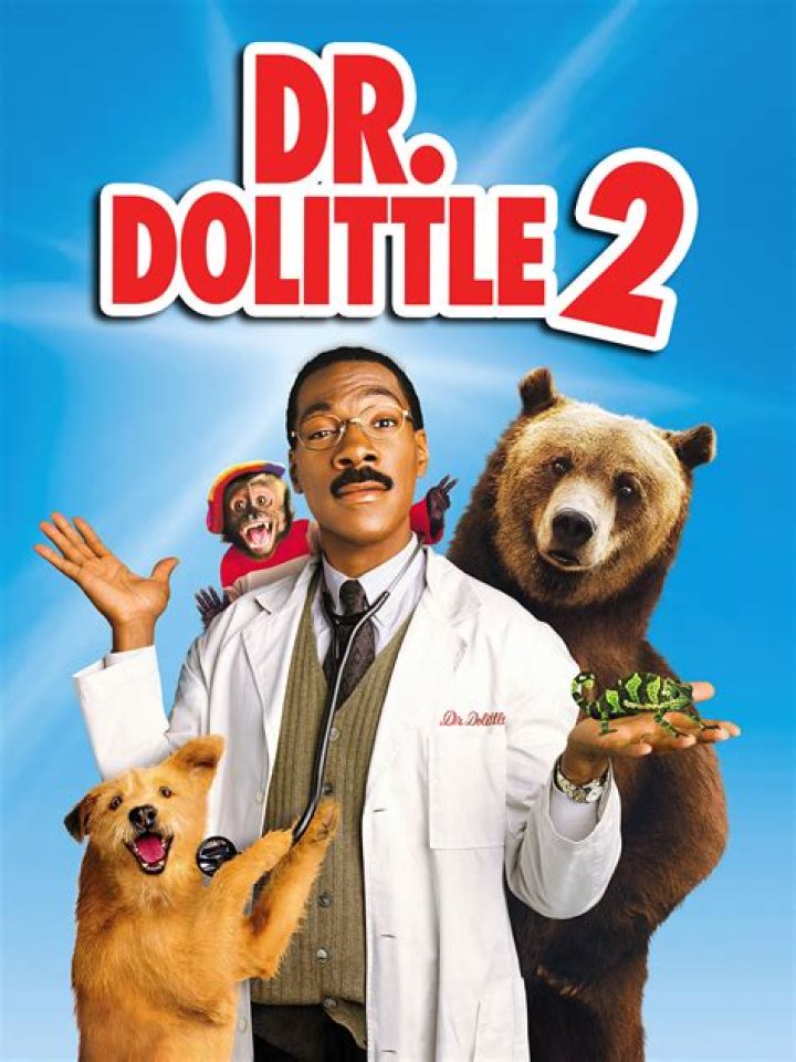 Fan Casting Robin Williams as Dr. John Dolittle in Dolittle (2000) on myCast