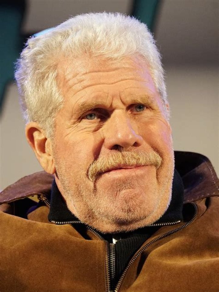 Fan Casting Ron Perlman as Motormaster in The Transformers on myCast