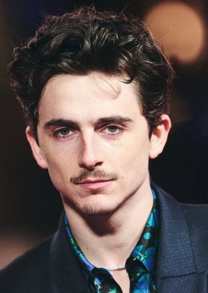 Fan Casting Timothée Chalamet as Christian in The Idhun Chronicles on myCast