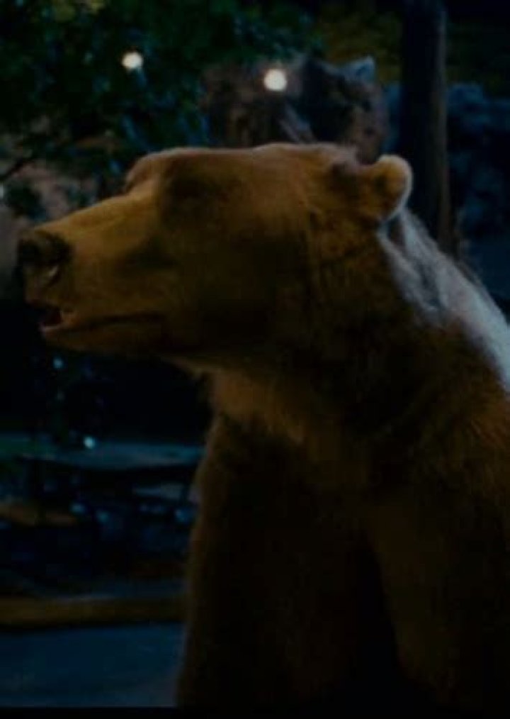 Fan Casting Vince Vaughn as Jerome the Bear in ZooKeeper (Remake) on myCast