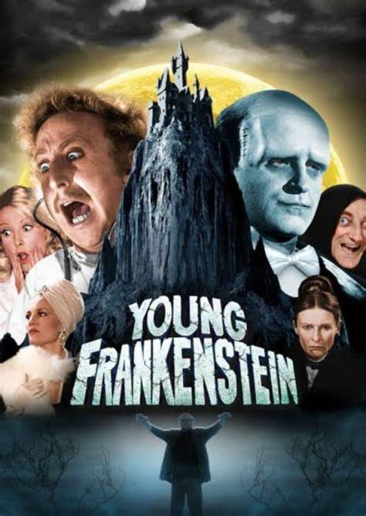 Fan Casting Vince Vaughn as The Monster in Young Frankenstein (2014) on myCast