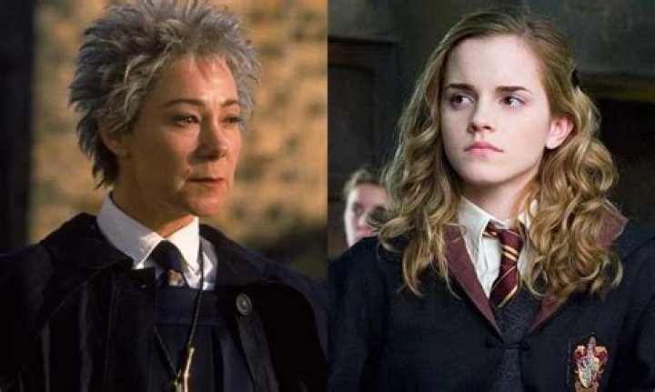 Fan Casting Zoë Wanamaker as Madam hooch in Hogwarts mystery year one on myCast