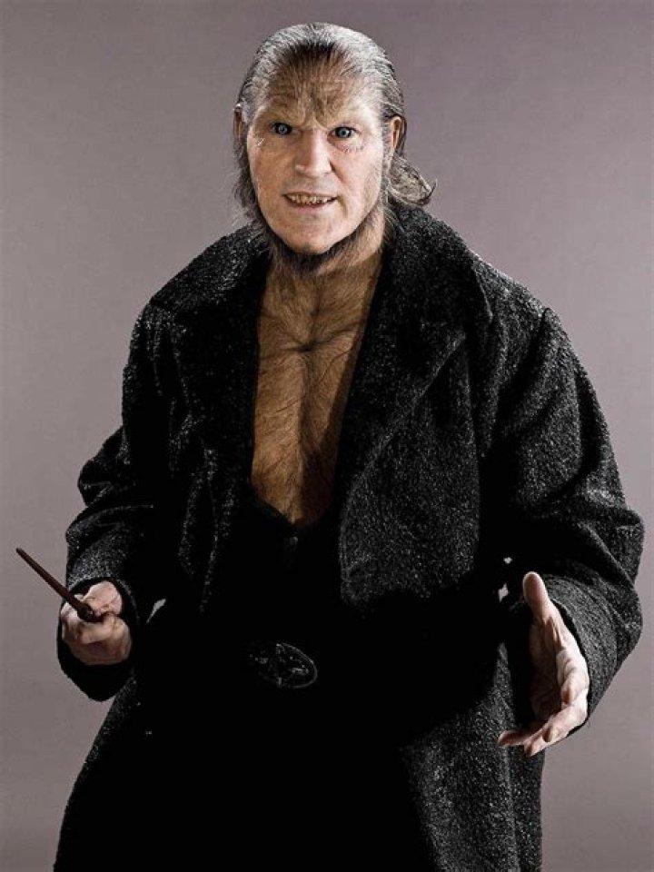 Fenrir Greyback Harry Potter and the Half Blood Prince