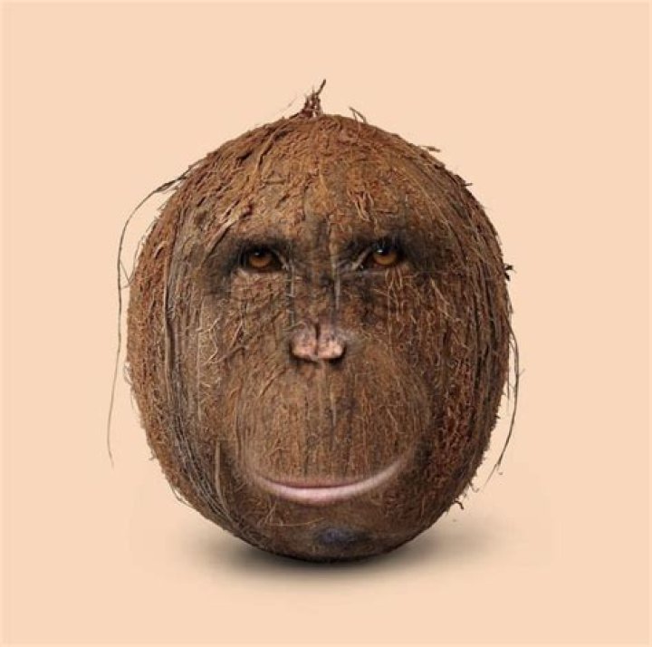 Find an Actor to Play Ned in Passion of Coconut Head on myCast