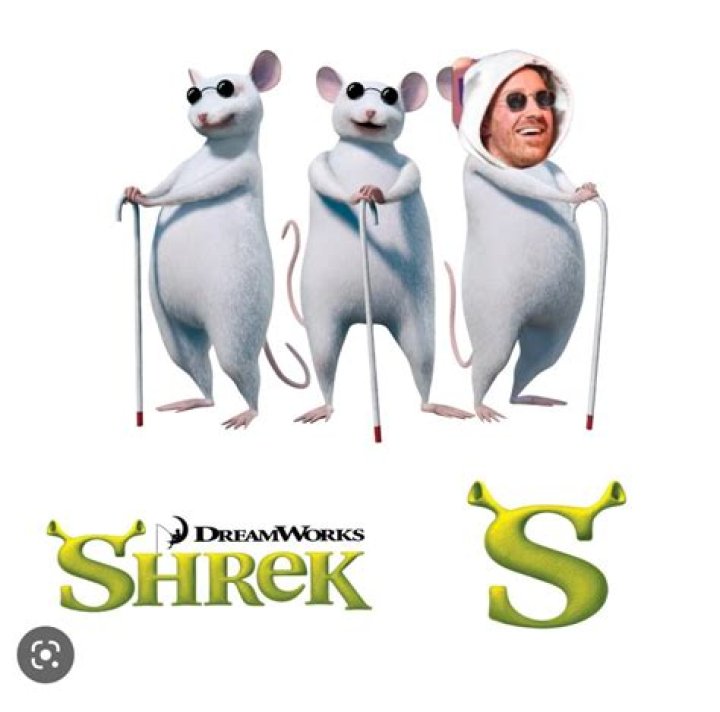 Find an Actor to Play the Three Blind Mice in Shrek 2001 on myCast