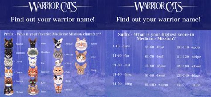 Find out your Warrior Cats name! Warrior Cats Forums