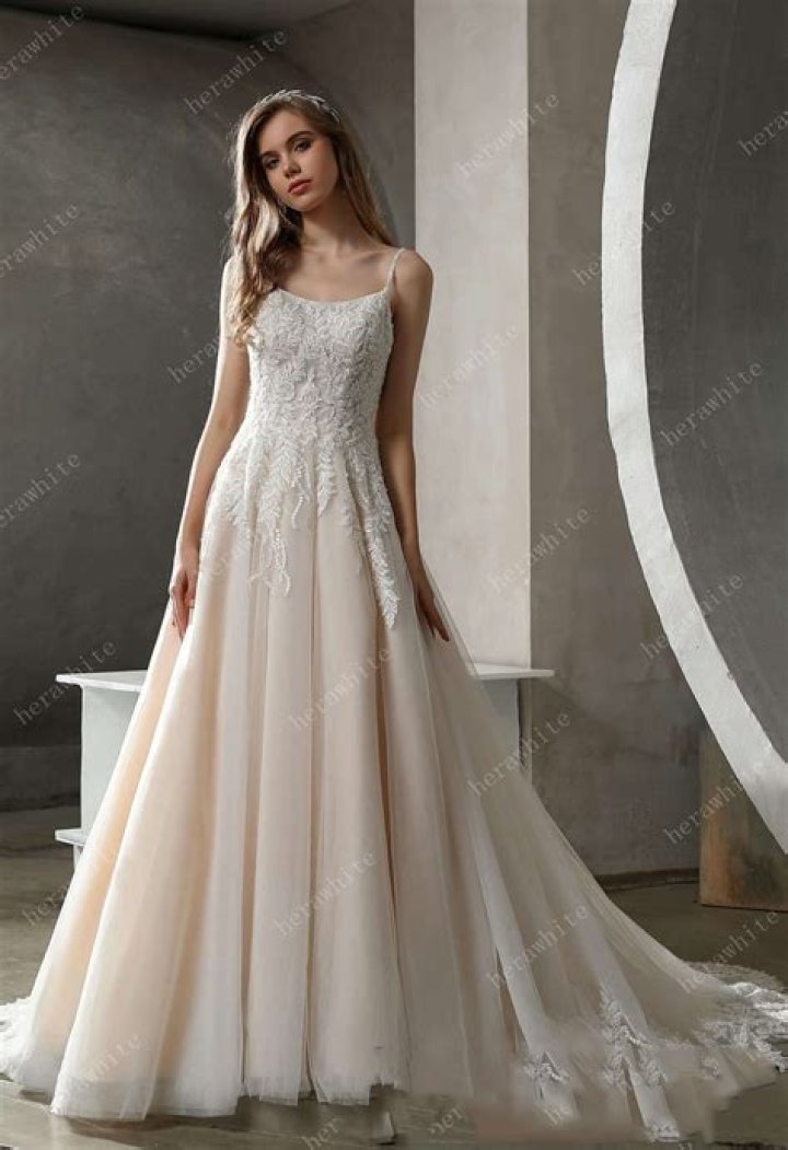 Fitted Straight/Beach Gown High Scoop Neckline and Beaded Criss cross
