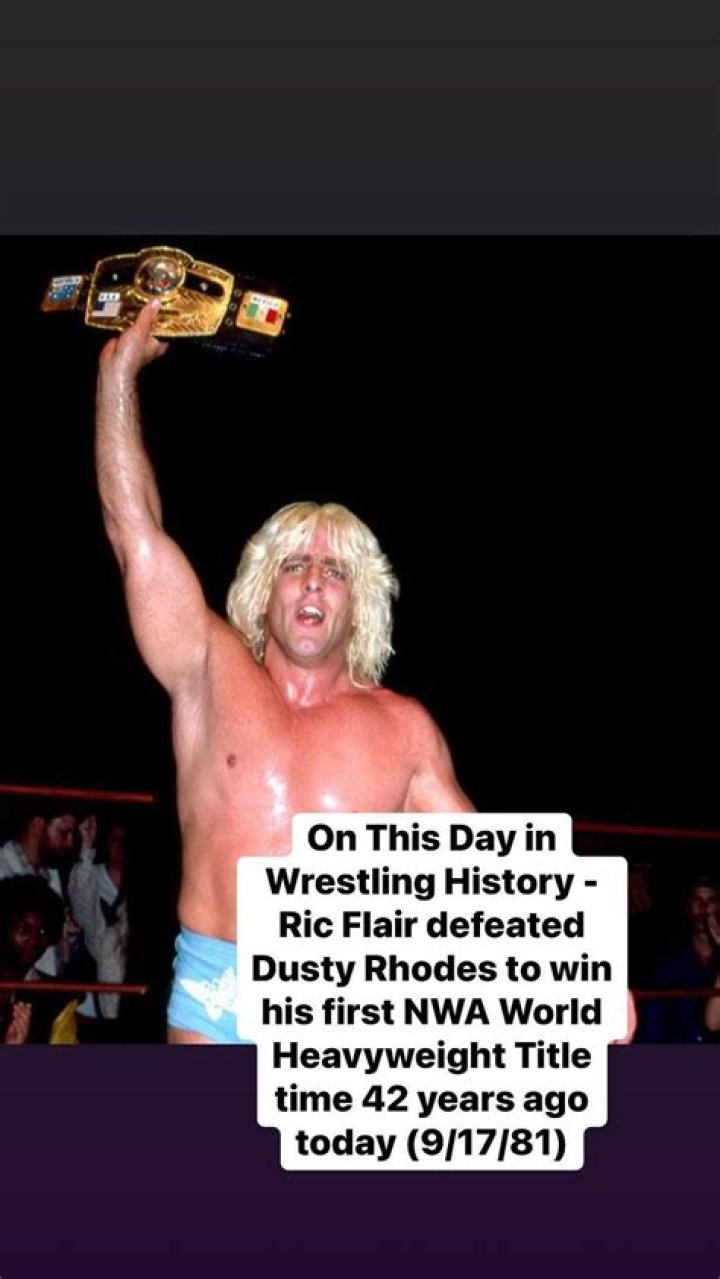 Flair: via villains.wikia.com / Steiner: via obsessedwithwrestling.com