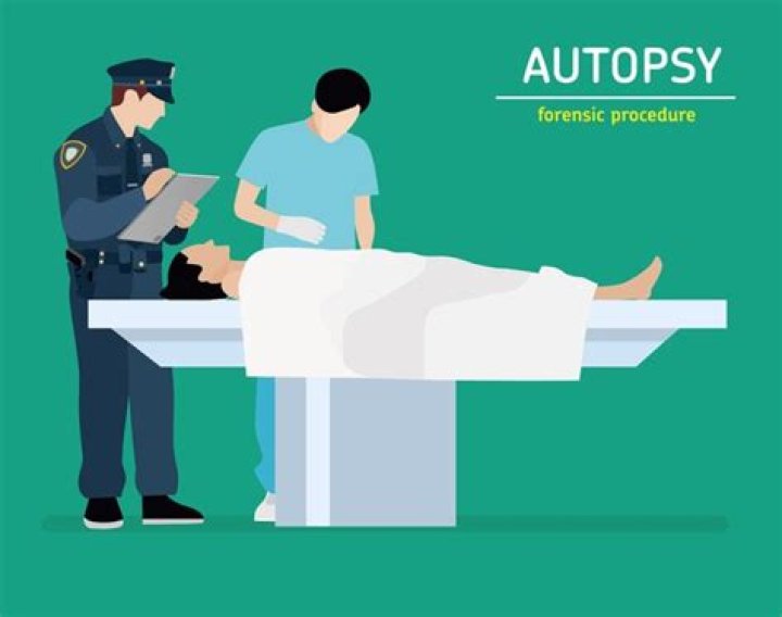 Flat Illustration. the Autopsy of the Murder Victim. Forensic Procedure