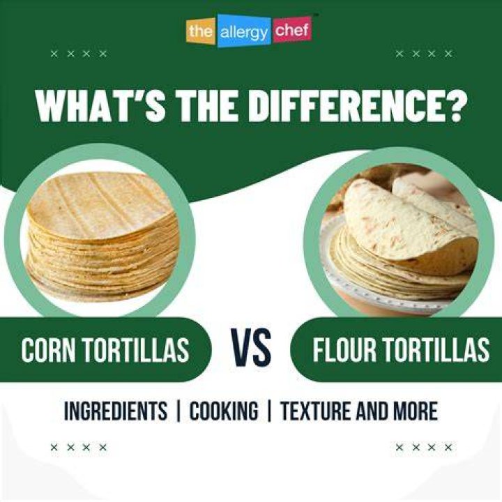 Flour Tortilla Corn Tortilla Aria Art