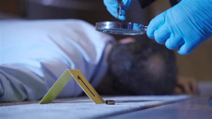 forensic investigation courses at the University of Pretoria