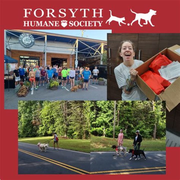 Forsyth Humane Society CUDDLY