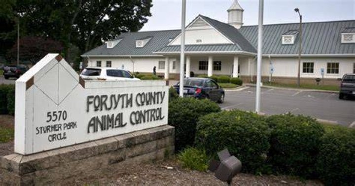 Forsyth Humane Society expects to start services in county animal