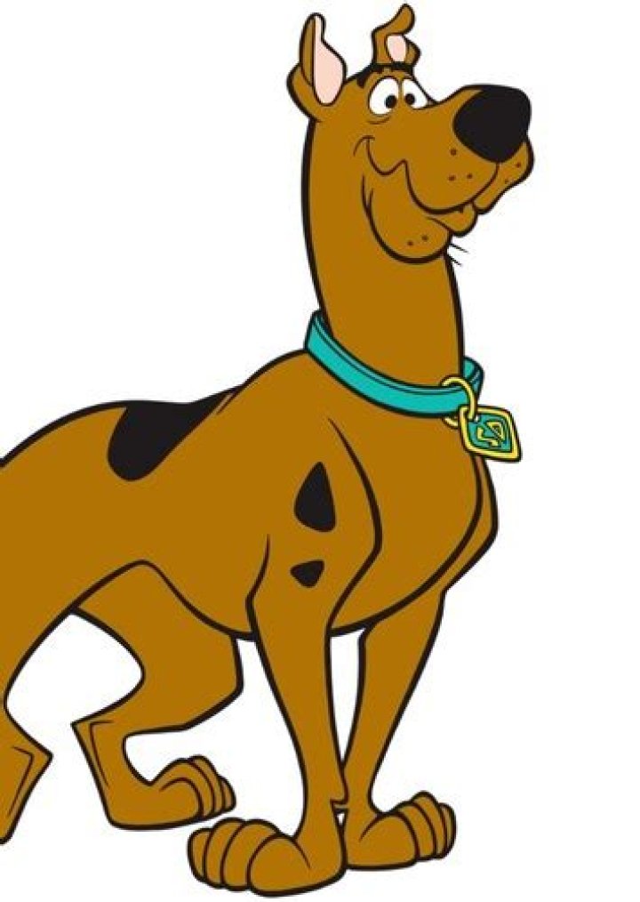 Fred Fan Casting for Scooby-Doo and the Cyber Chase | myCast