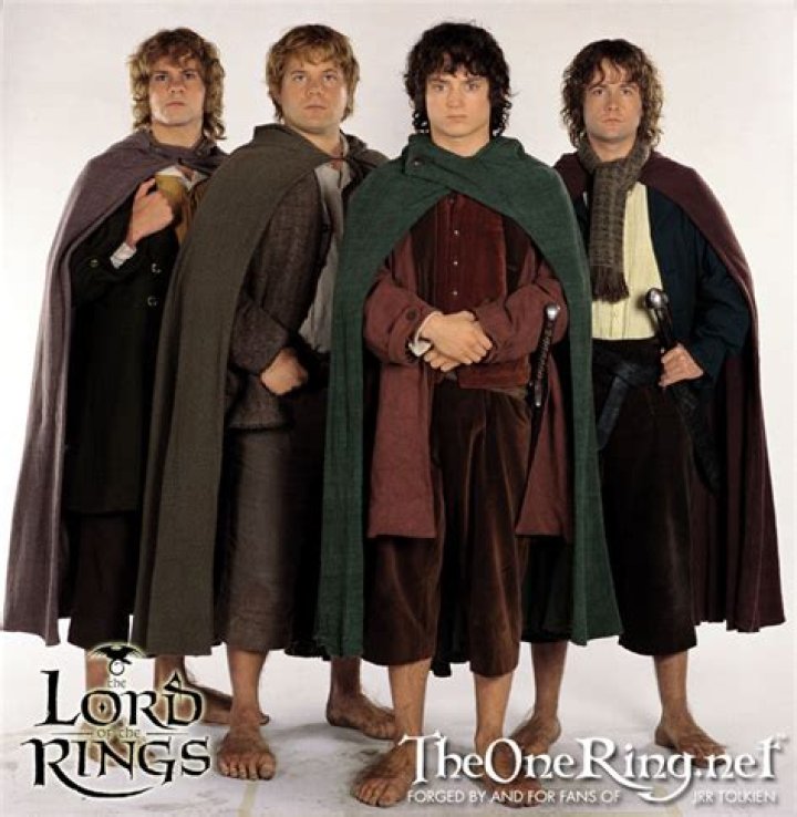 Frodo Sam Merry and Pippin in Lord of the Rings