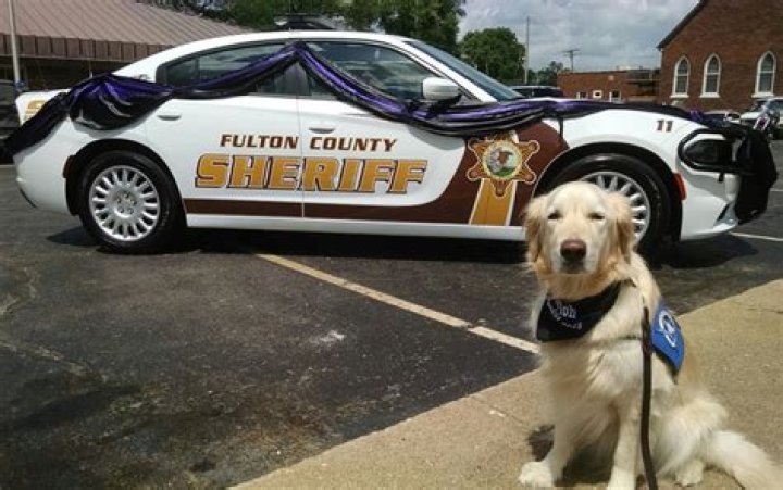 Fulton County deputy killed in alleged domestic incident, sheriff says