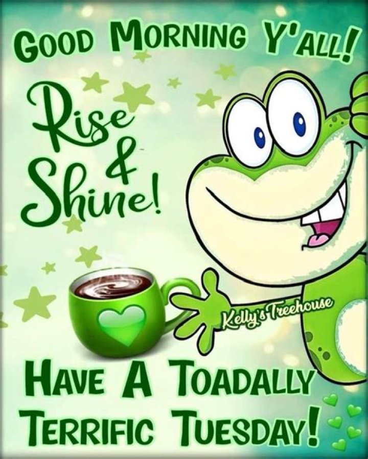 Funny & Happy Tuesday Morning Quotes With Funny Tuesday Memes