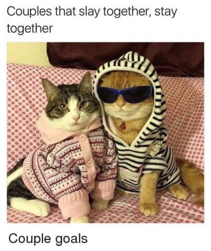Funny Couple Memes and Cute Pictures