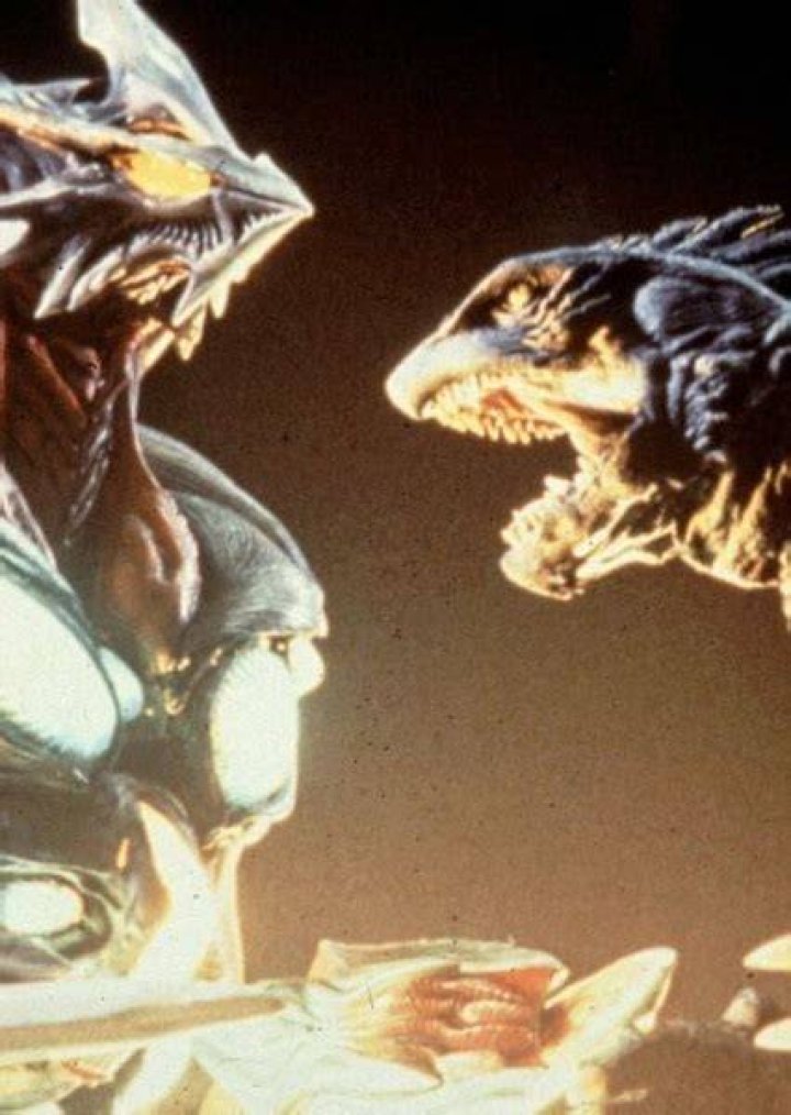 Gamera vs. Iris Fan Casting