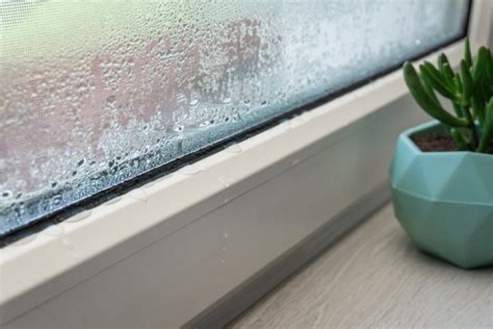 Georgina stands in the window in Get Out