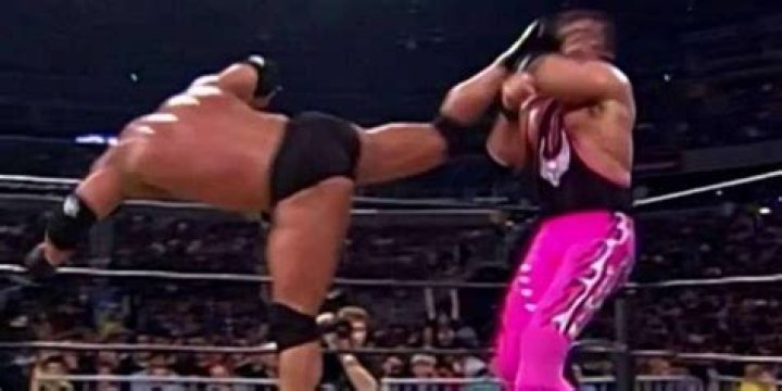 Goldberg Vs Bret Hart