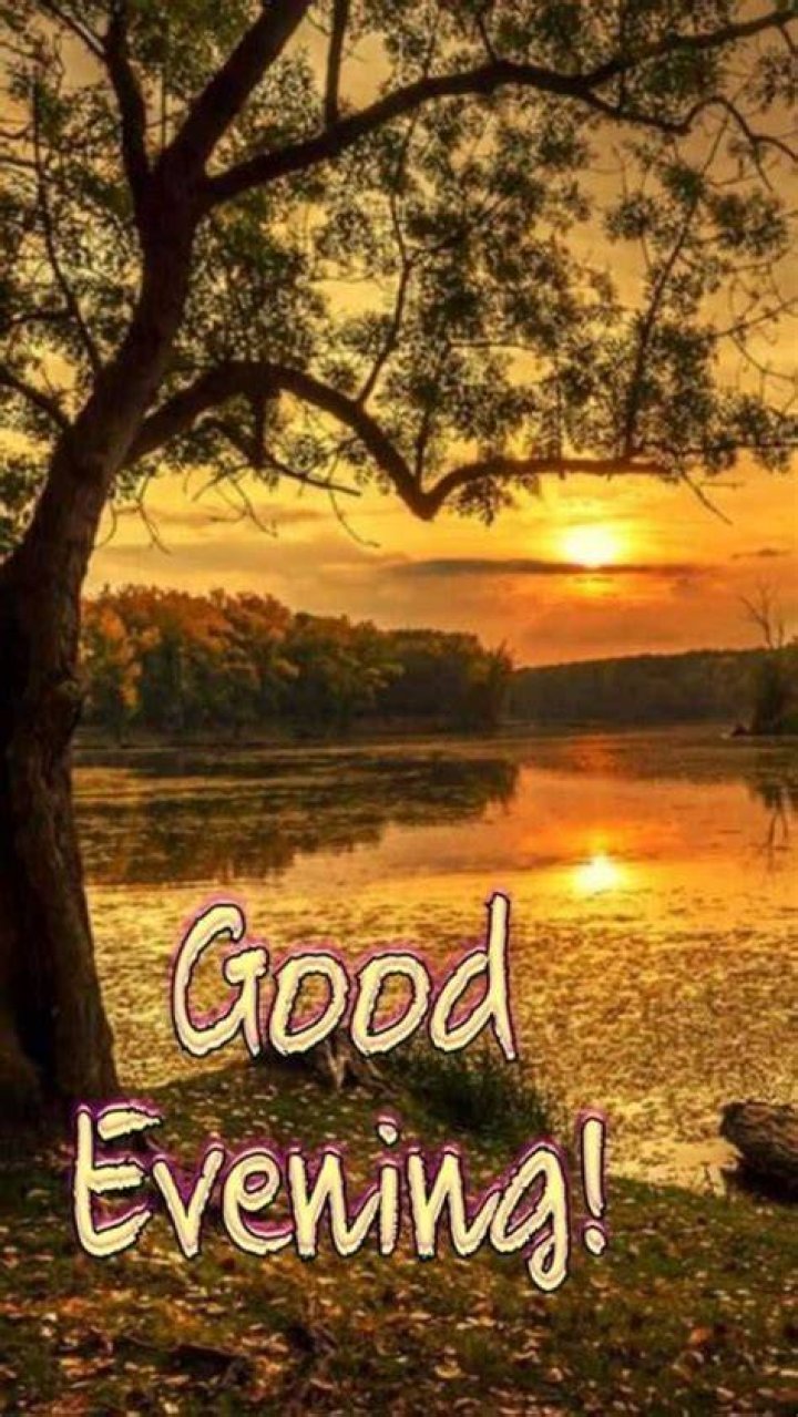 Good Evening Images, Photos, Pics & HD Wallpapers Download