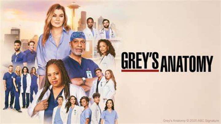 Greys Anatomy season 17 why George O'Malley returned