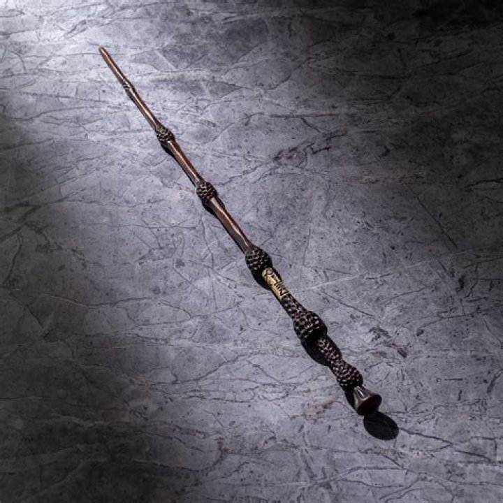 Harry Potter: Every Owner Of The Elder Wand