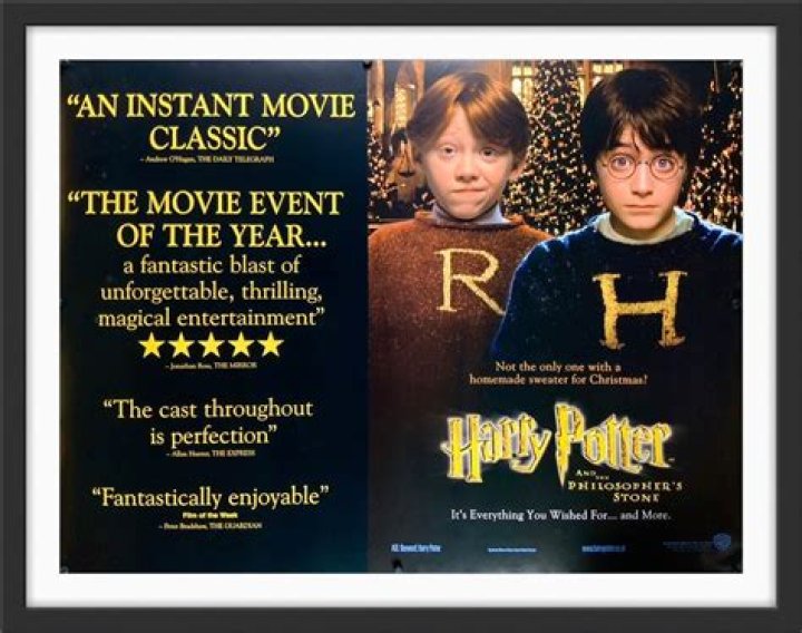 Harry Potter (Perfect Casting)