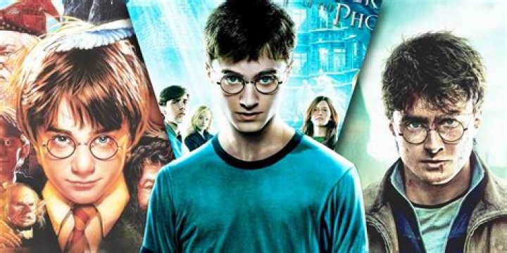 Harry Potter what each character sees Mirror Erised