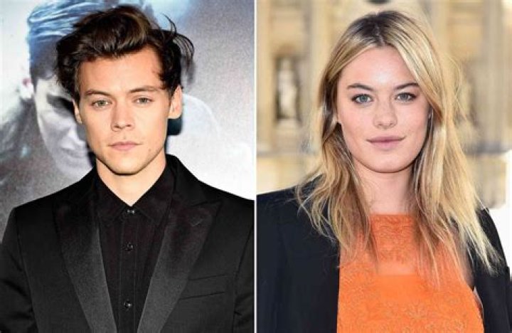 Harry Styles And Camille Rowe: A Dive Into Their Relationship